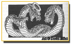 Three Adders � David Elliot