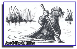 Bragoon � David Elliot